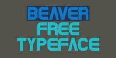 Beaver Font